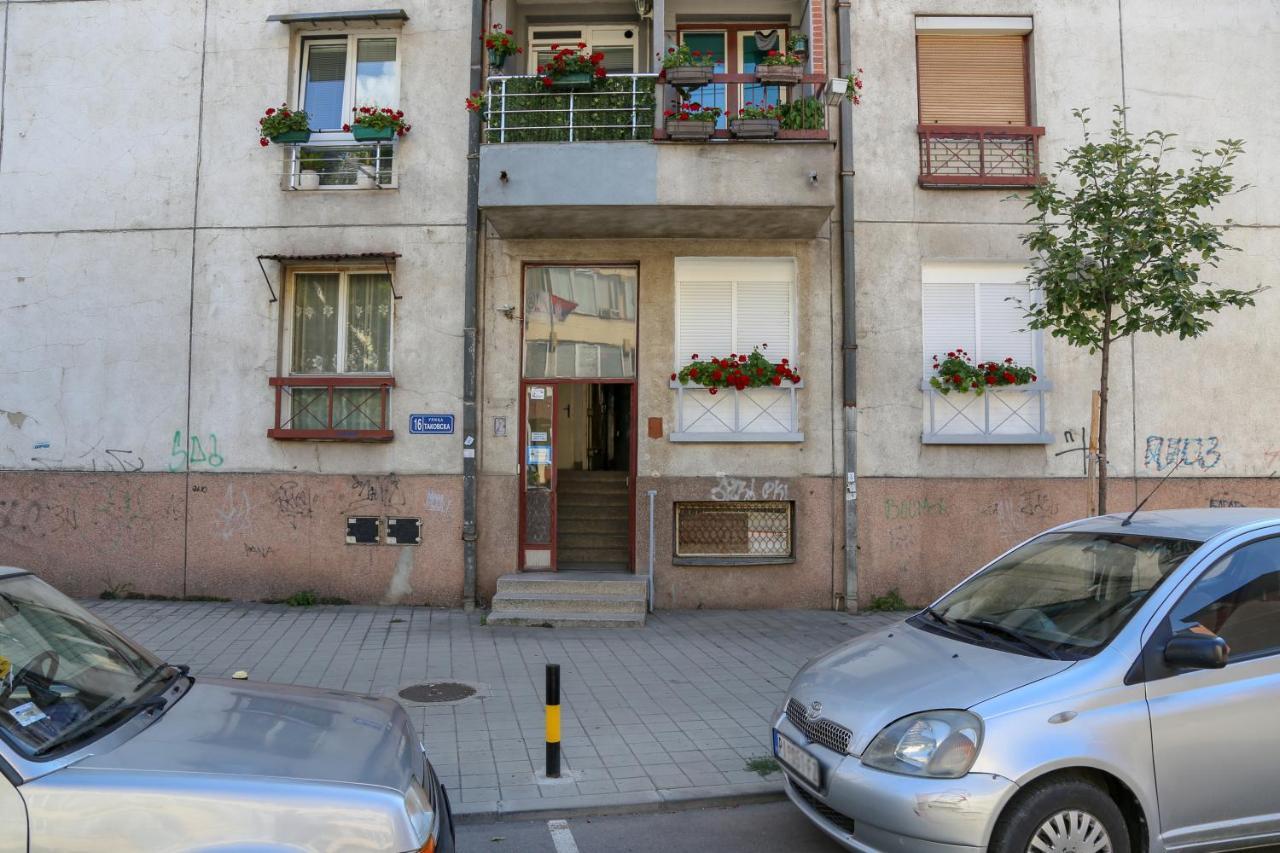 Apartman Marija Daire Pirot Dış mekan fotoğraf